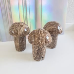 Chocolate Calcite Mushrooms 2