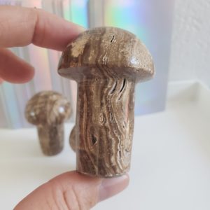 Chocolate Calcite Mushrooms 5