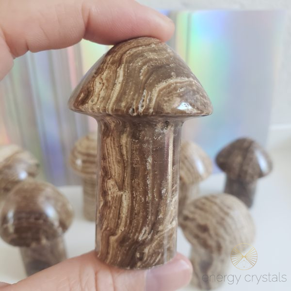Chocolate Calcite Mushrooms 7