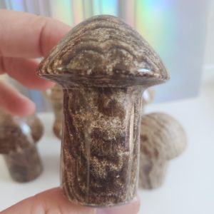 Chocolate Calcite Mushrooms 8