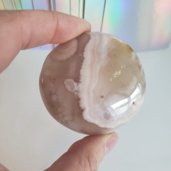 Energy Crystals Flower Agate Palm Stone 10