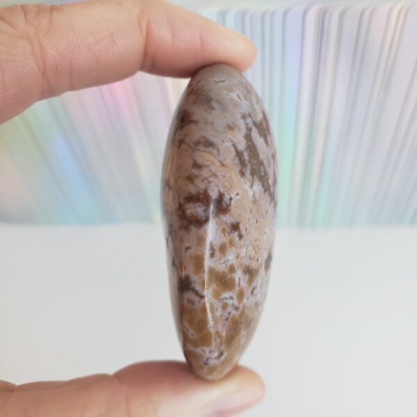 Energy Crystals Ocean Jasper Palm Stone 3 (1)