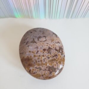 Energy Crystals Ocean Jasper Palm Stone 3 (3)