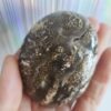 Energy Crystals Ocean Jasper w Druzy Palm Stone 1 (1)