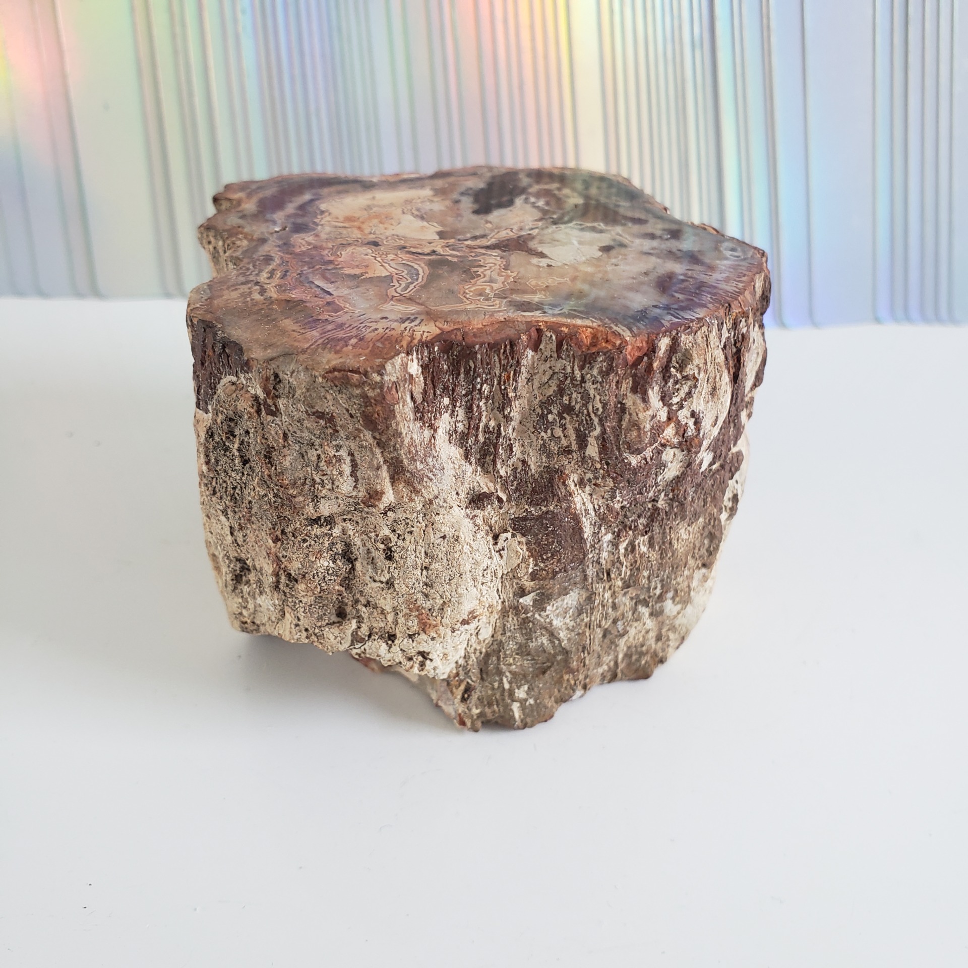 Energy Crystals Petrified Wood 1 5