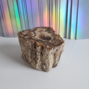Energy Crystals Petrified Wood Stump 2 1