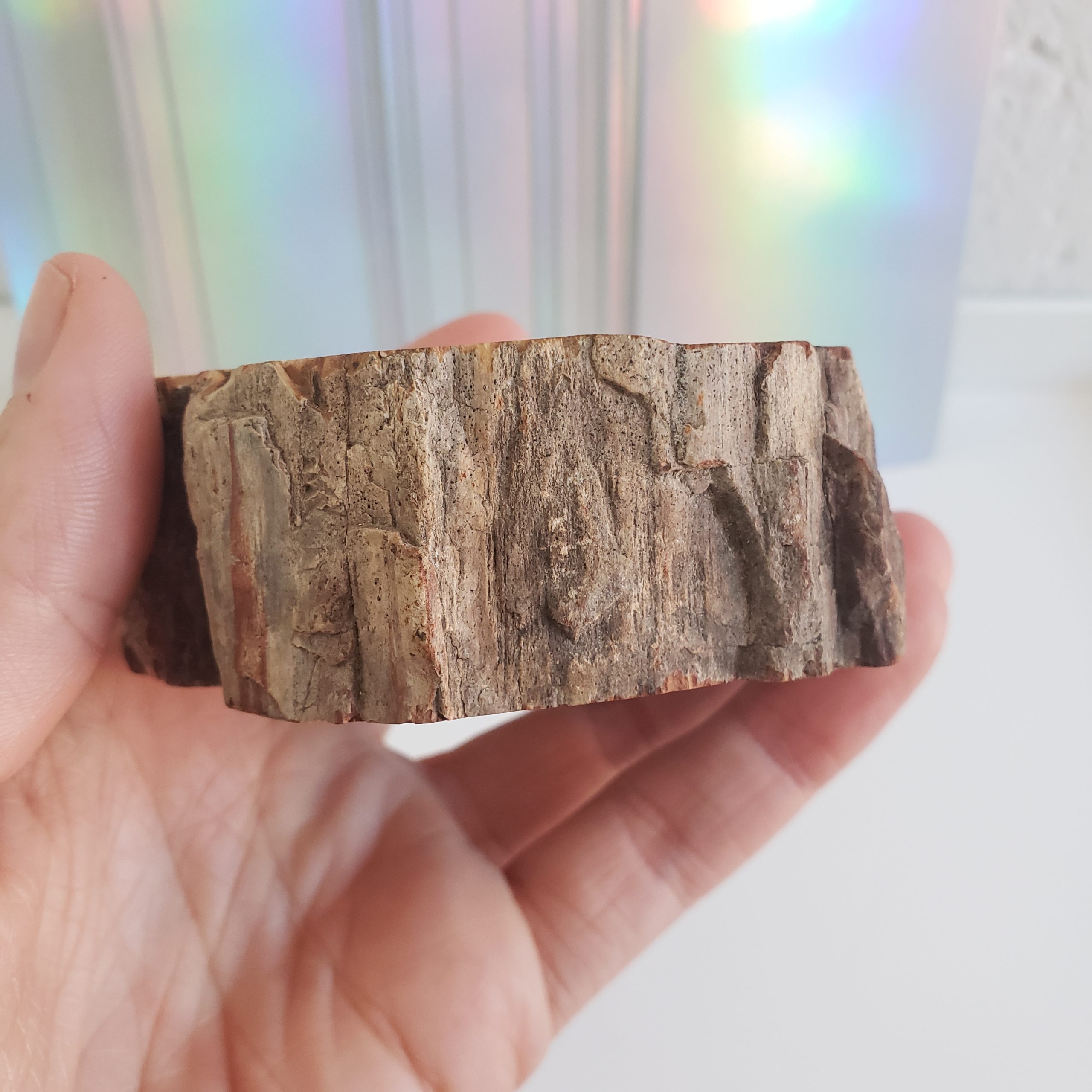 Energy Crystals Petrified Wood Stump