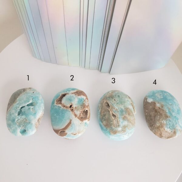 caribbean calcite palm stone (m)