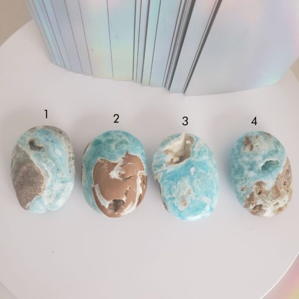 caribbean calcite palm stone (m)