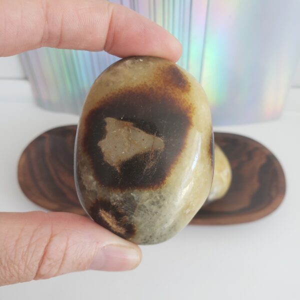 Energy Crystals Septarian Palms 4