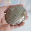 Energy Crystals Ocean Jasper Palm Stone 2 (1)