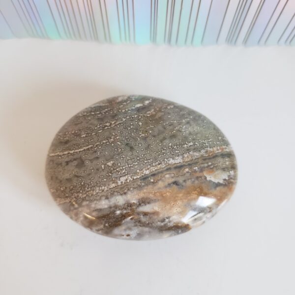 Energy Crystals Ocean Jasper Palm Stone