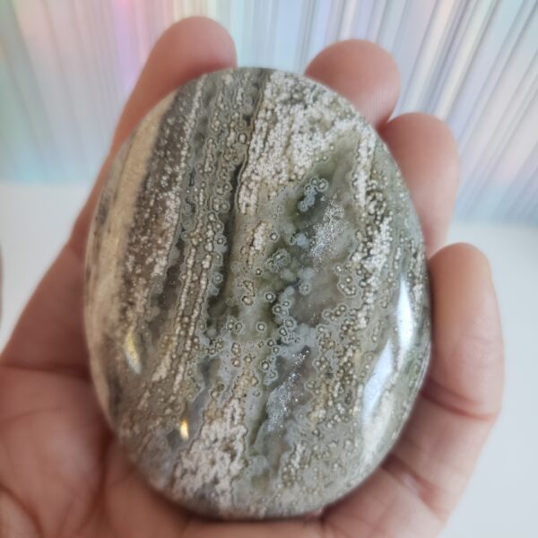 Energy Crystals Ocean Jasper Palm Stone 2 (4)