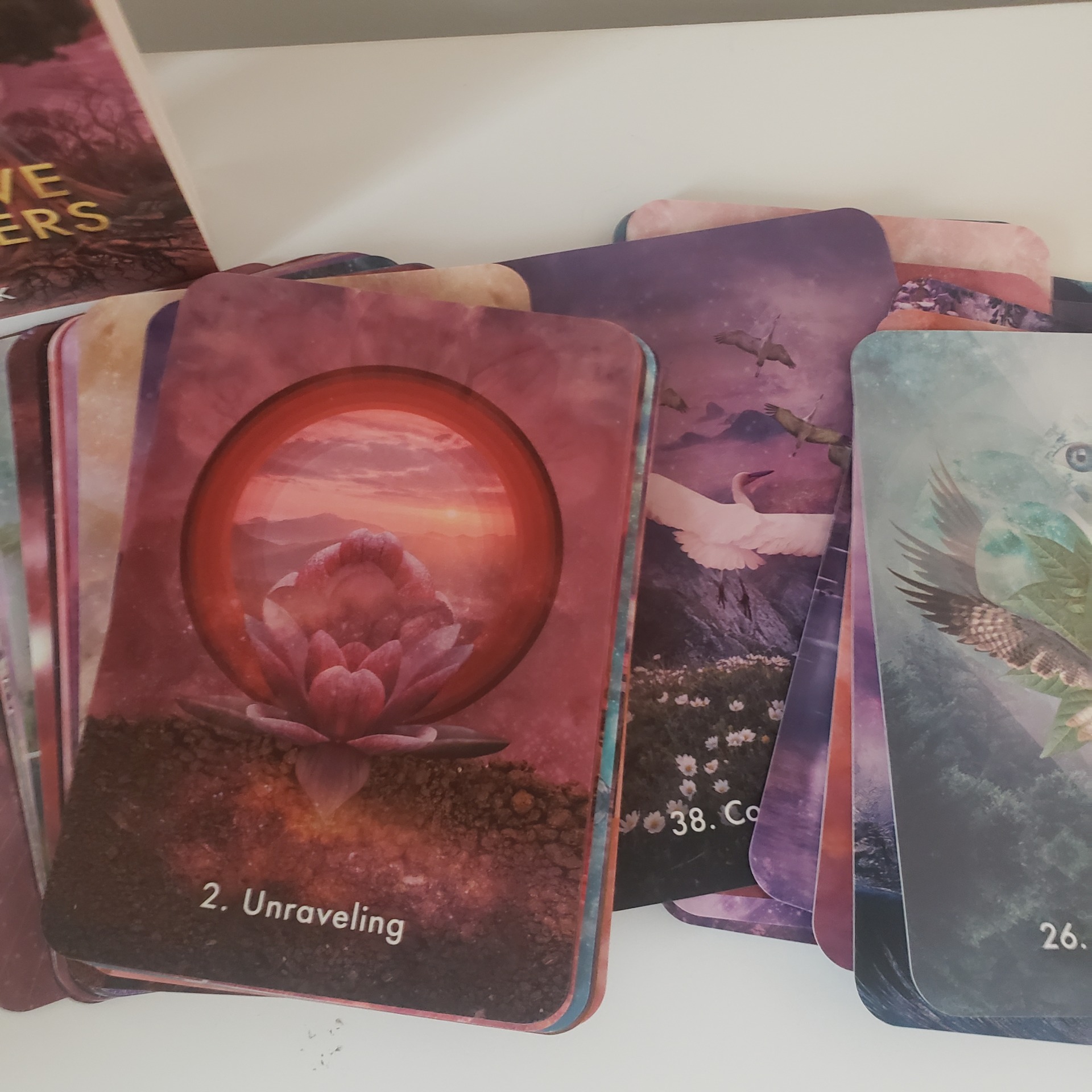 keepers of the light oracle kyle gray (copy)