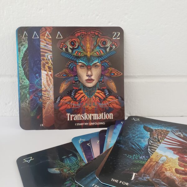 shamanic oracle luis and magali tamani