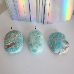 caribbean calcite palm stone (m) (copy)