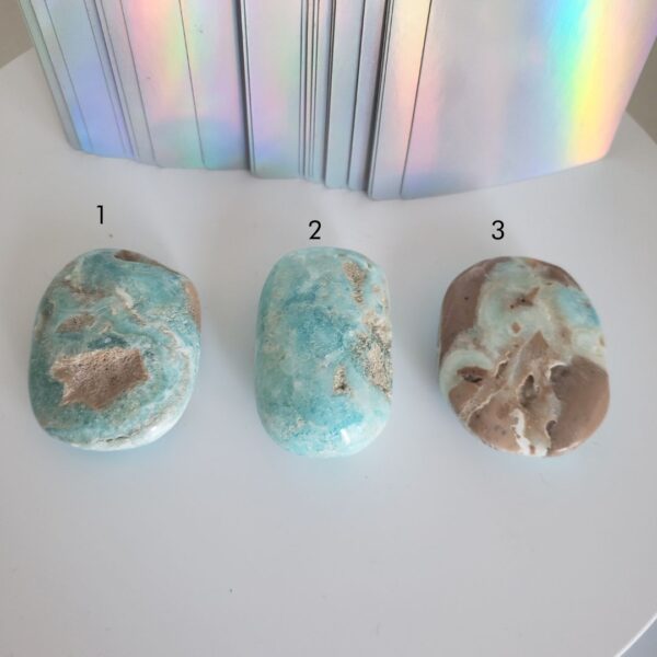 caribbean calcite palm stone (m) (copy)