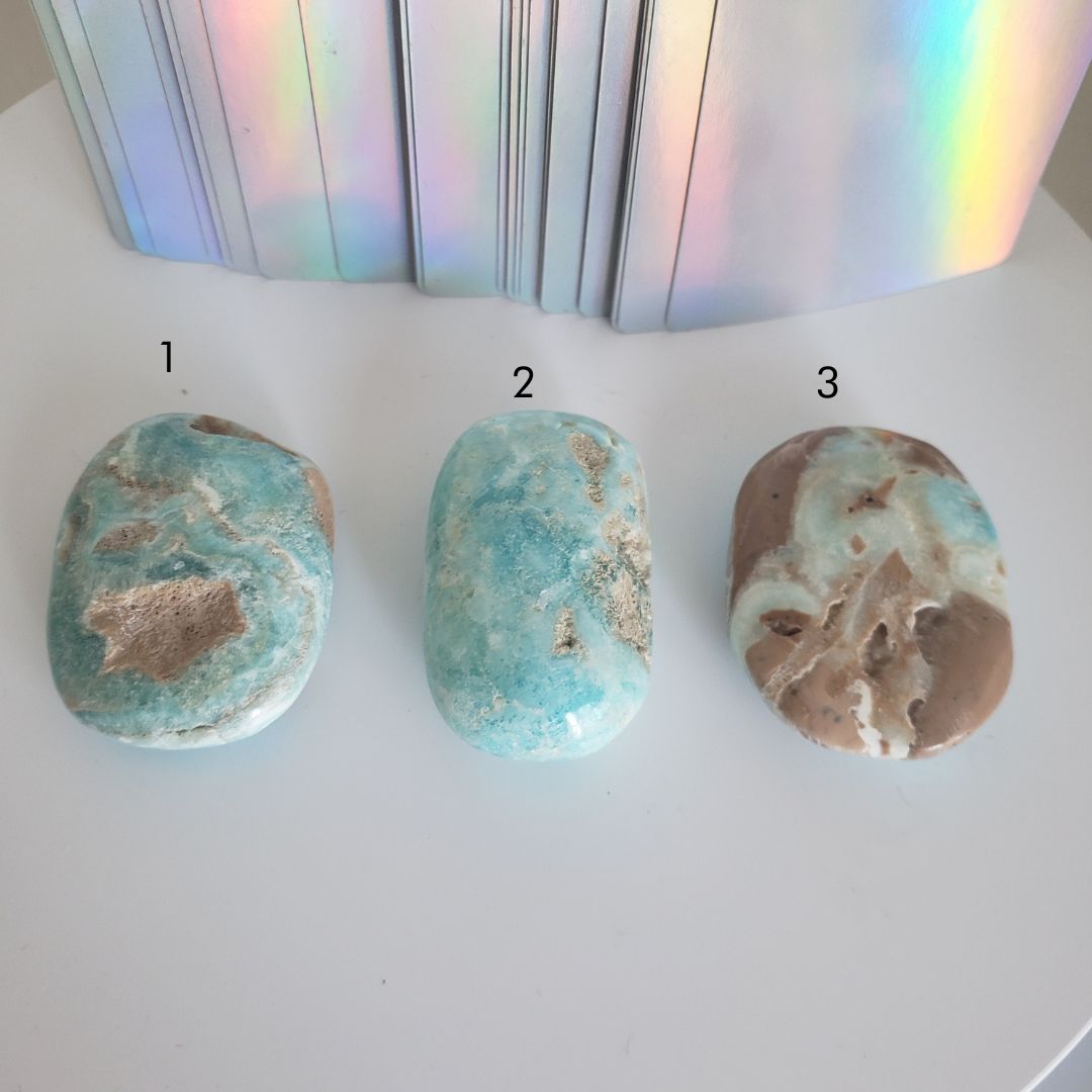 caribbean calcite palm stone (m) (copy)