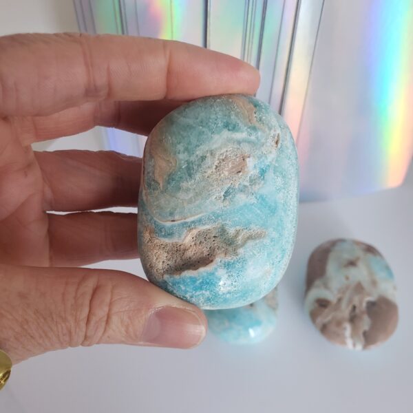 caribbean calcite palm stone (m) (copy) 1