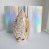snow agate quartz flame (copy)