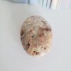 crazy lace agate palm stone (copy)