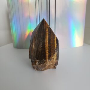 tigers eye tumbled (xs) (copy)