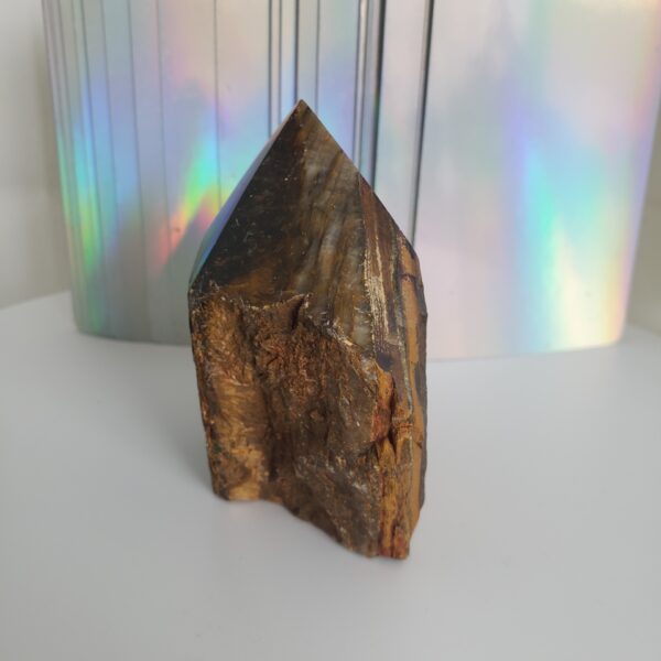 tigers eye tumbled (xs) (copy)