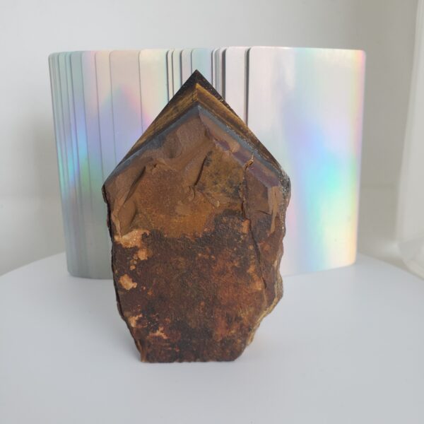 tigers eye cutbase point 1 (copy)