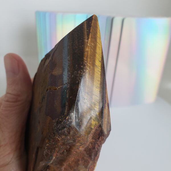 tigers eye cutbase point 1 (copy)