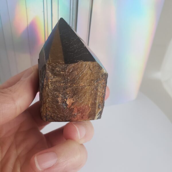 tigers eye cutbase point 3 (copy)