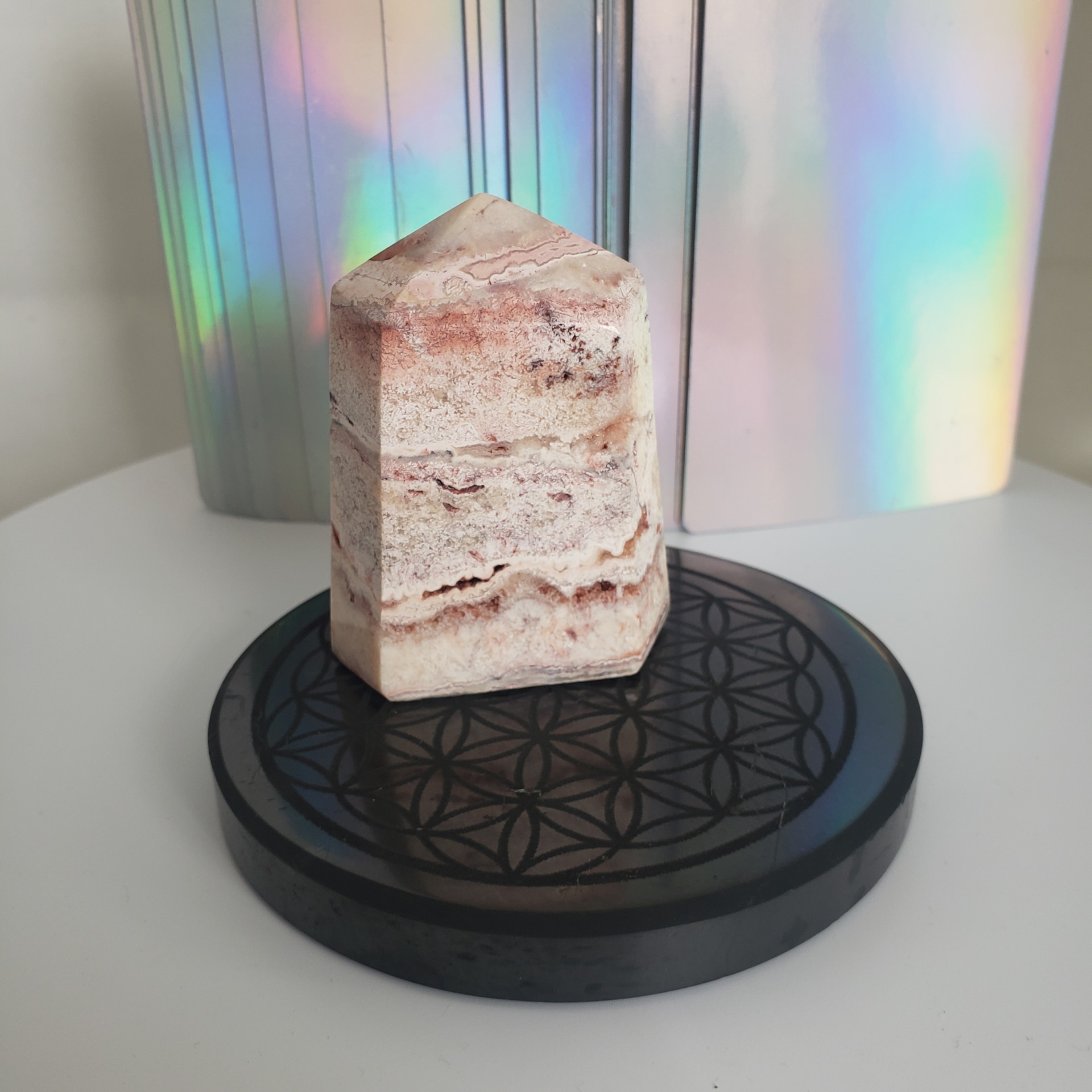 shungite tumbled piece (xs) (copy)