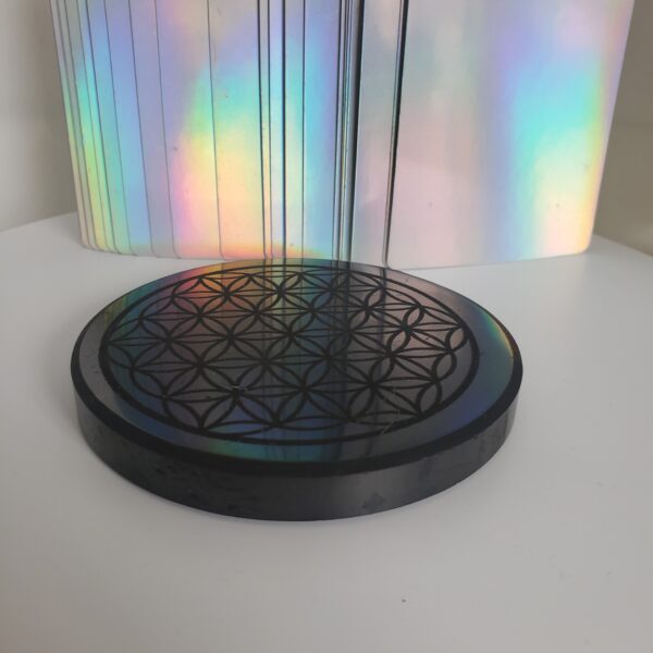 shungite tumbled piece (xs) (copy)