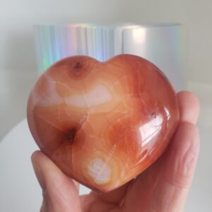 citrine banded heart s