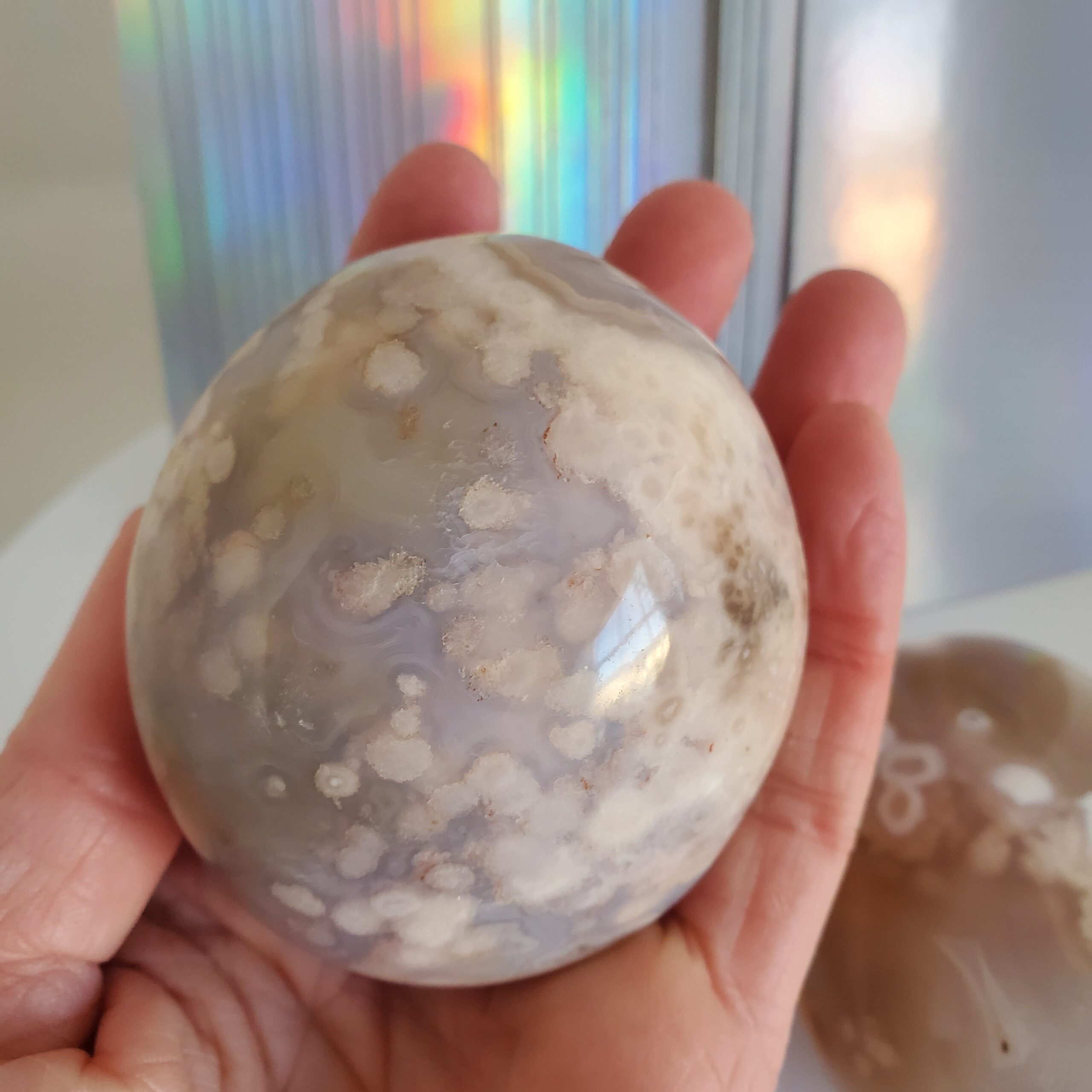 crazy lace palm stone (copy) left