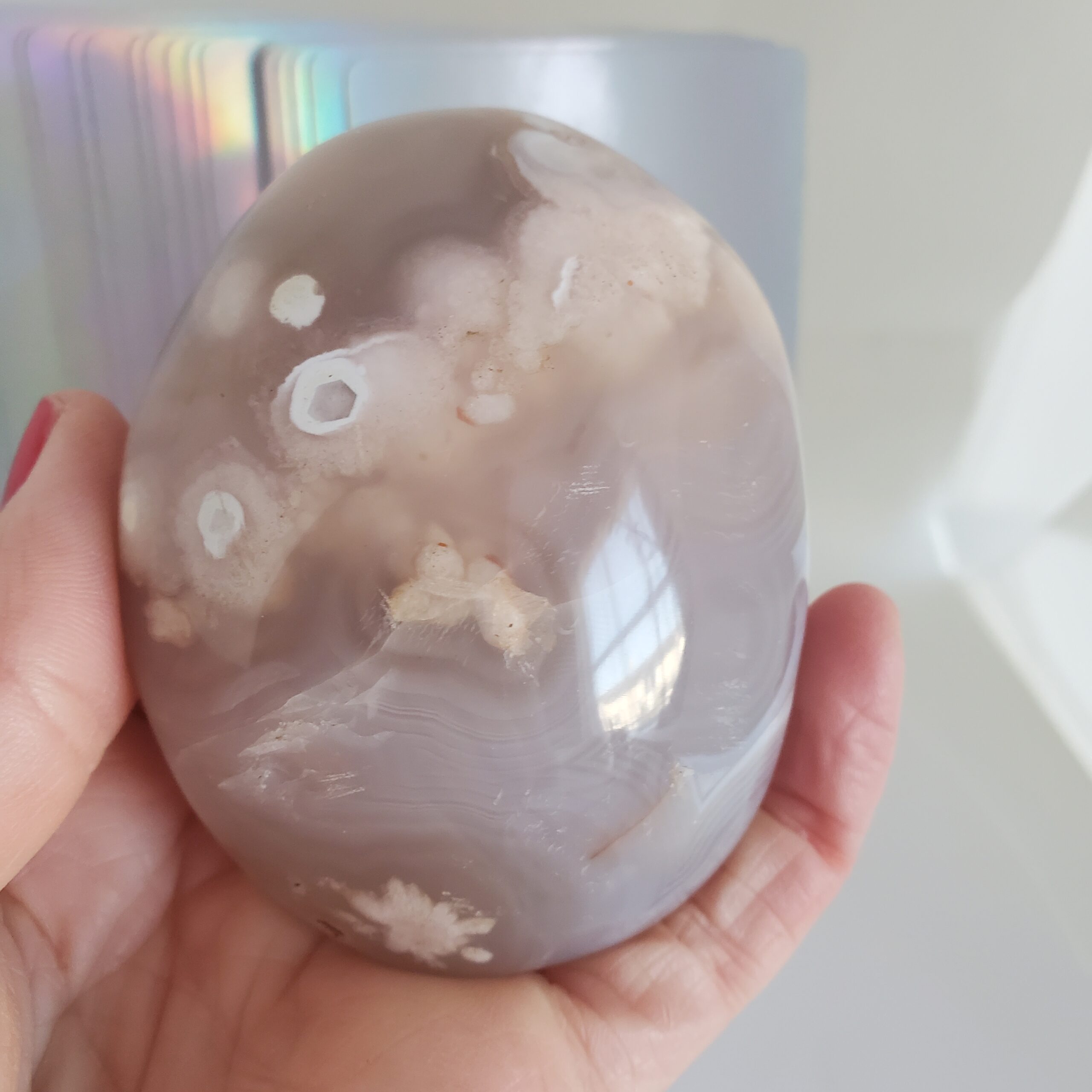 crazy lace palm stone (copy) left