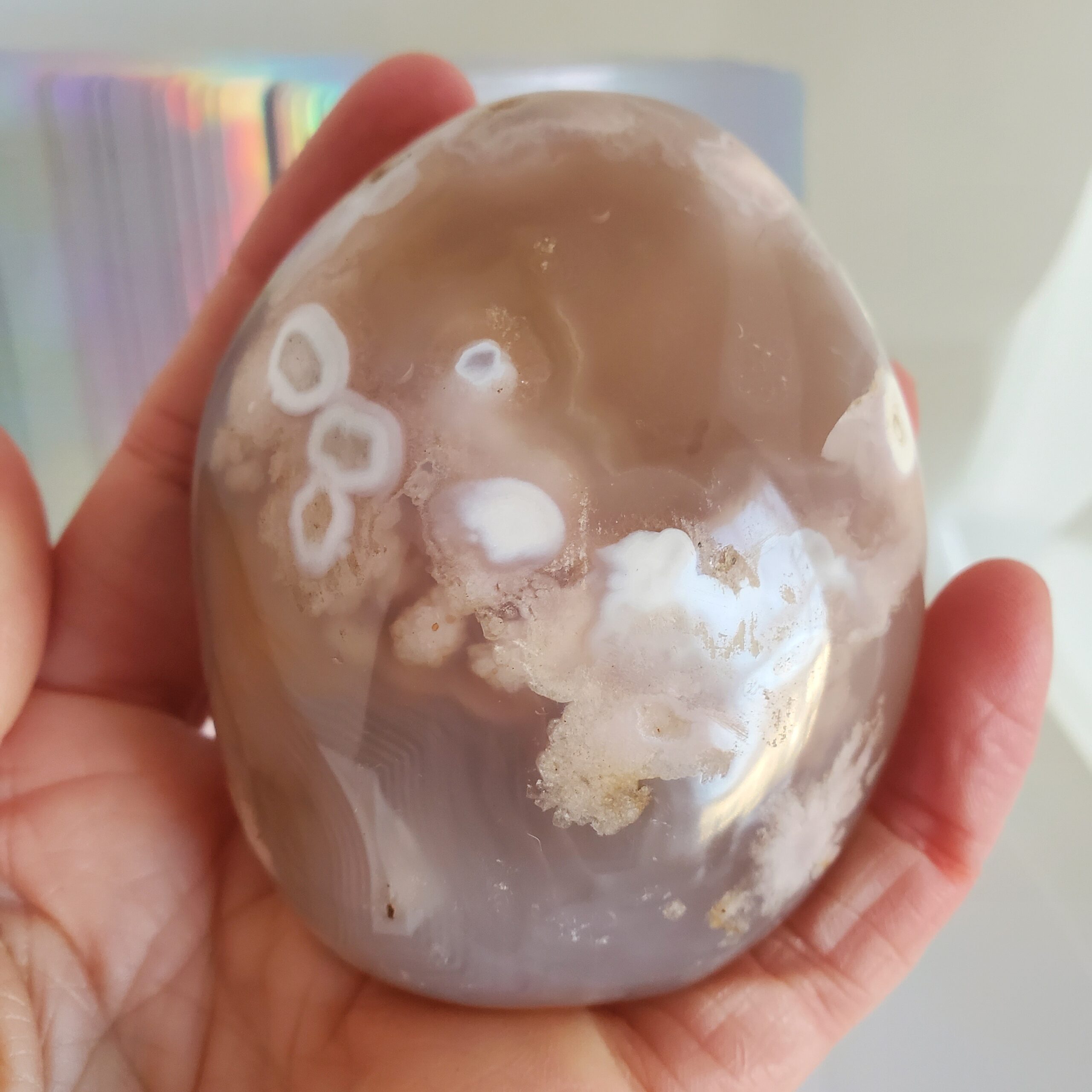 crazy lace palm stone (copy) left