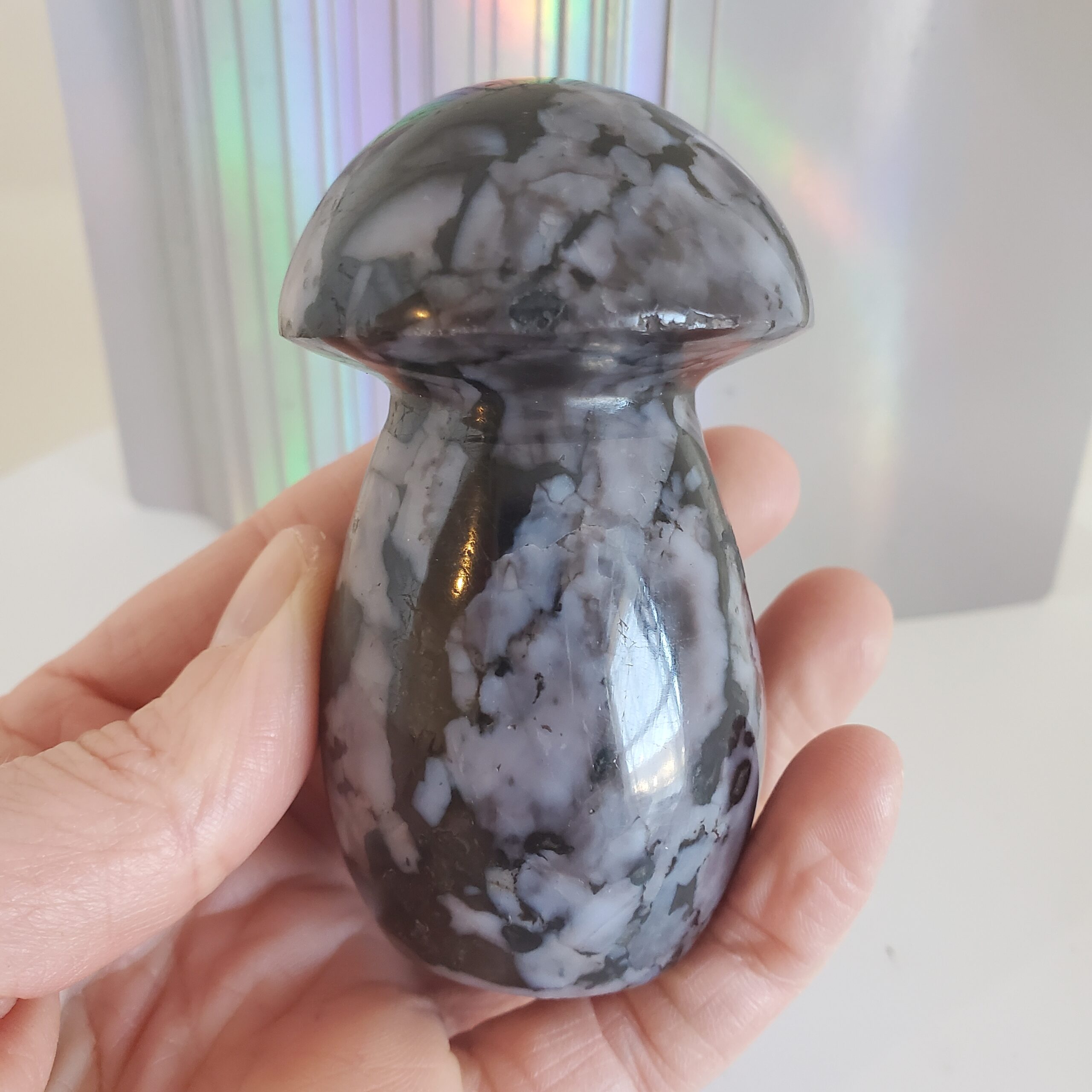 indigo gabbro palm mushroom s (copy)