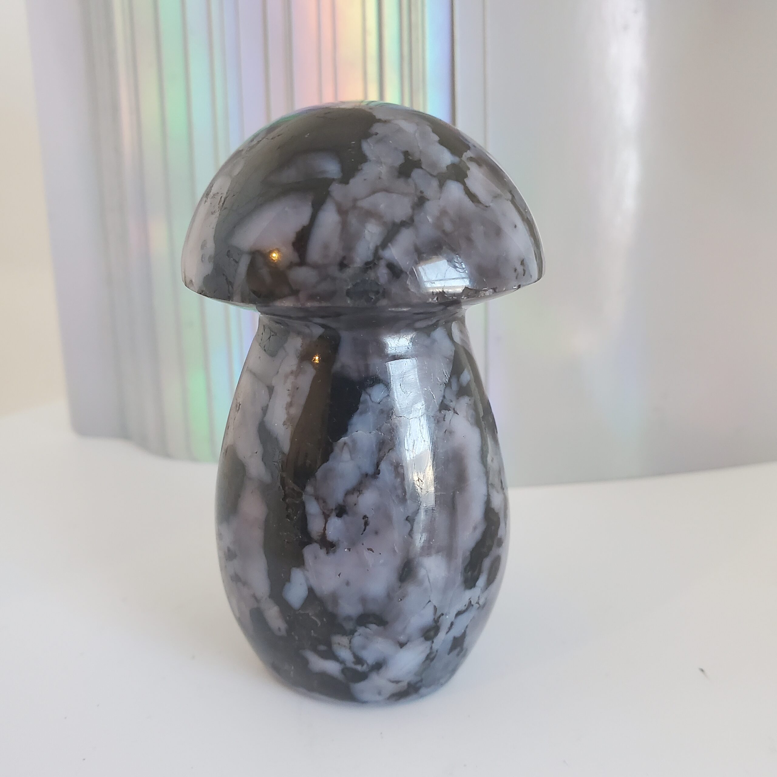 indigo gabbro palm mushroom m (copy)