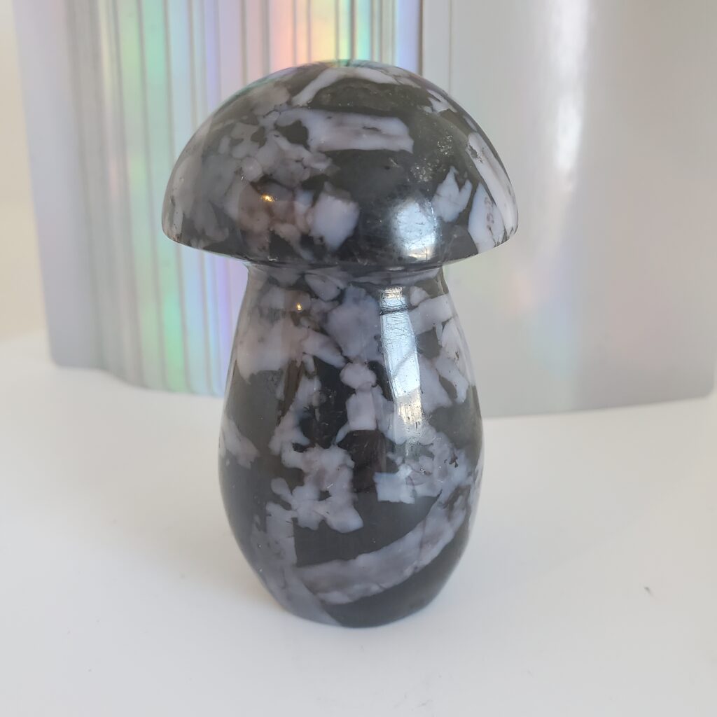 indigo gabbro palm mushroom m (copy)