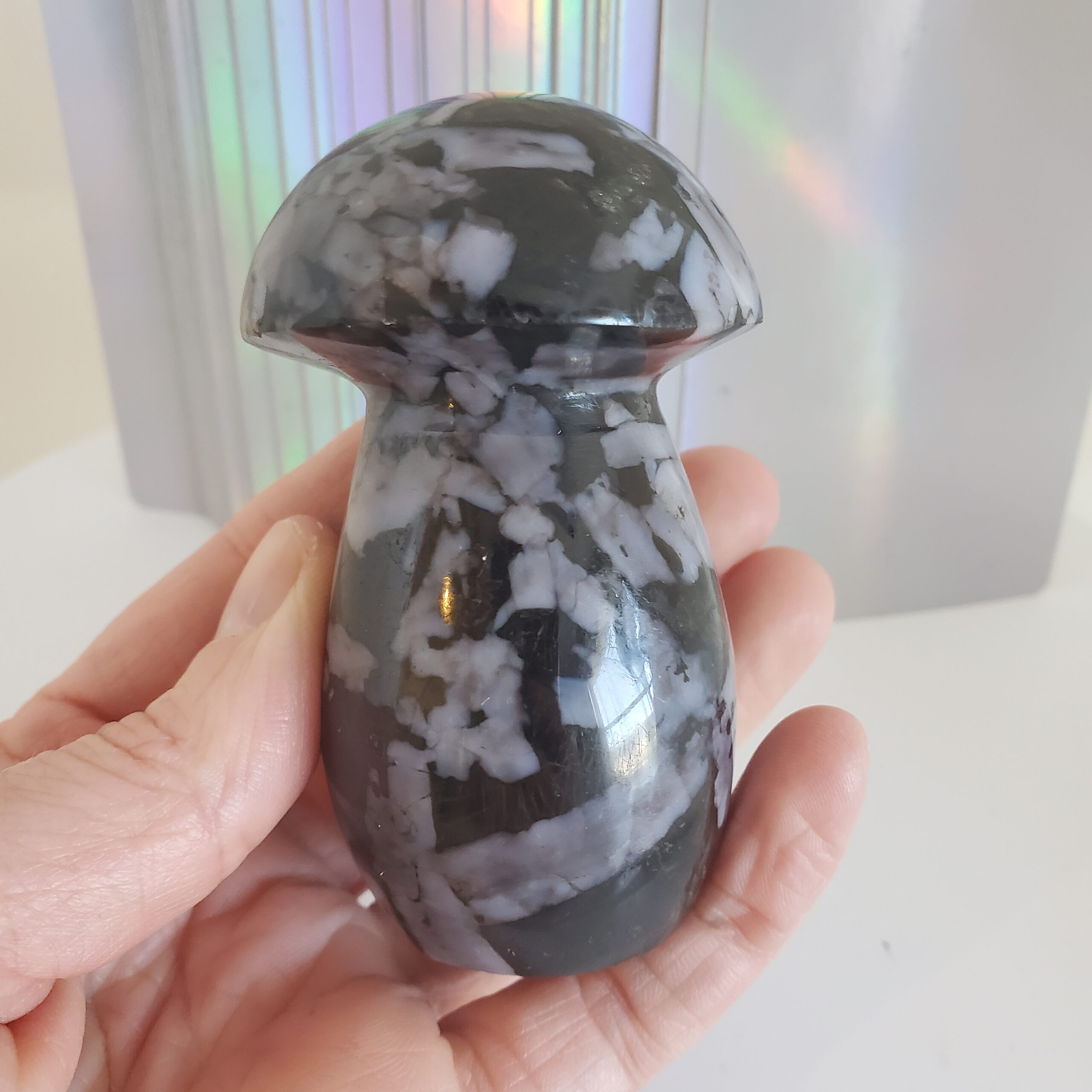indigo gabbro palm mushroom m (copy)