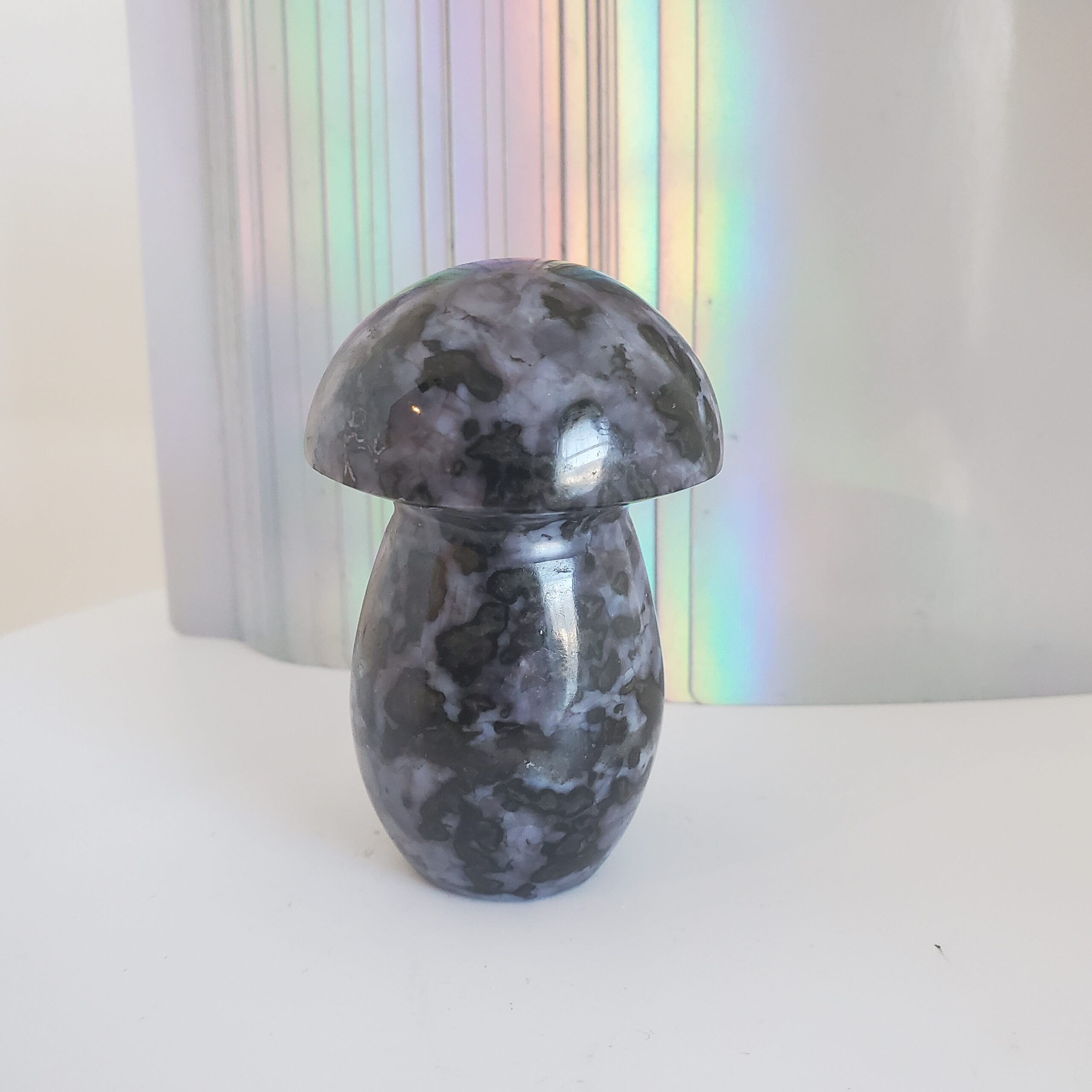 indigo gabbro palm mushroom s (copy)