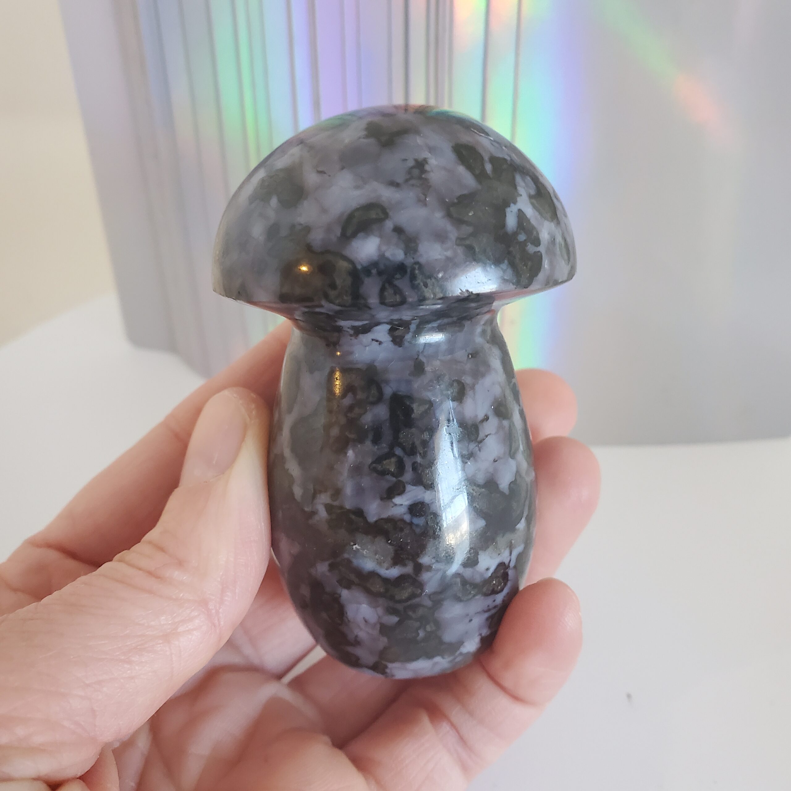 indigo gabbro palm mushroom s (copy)