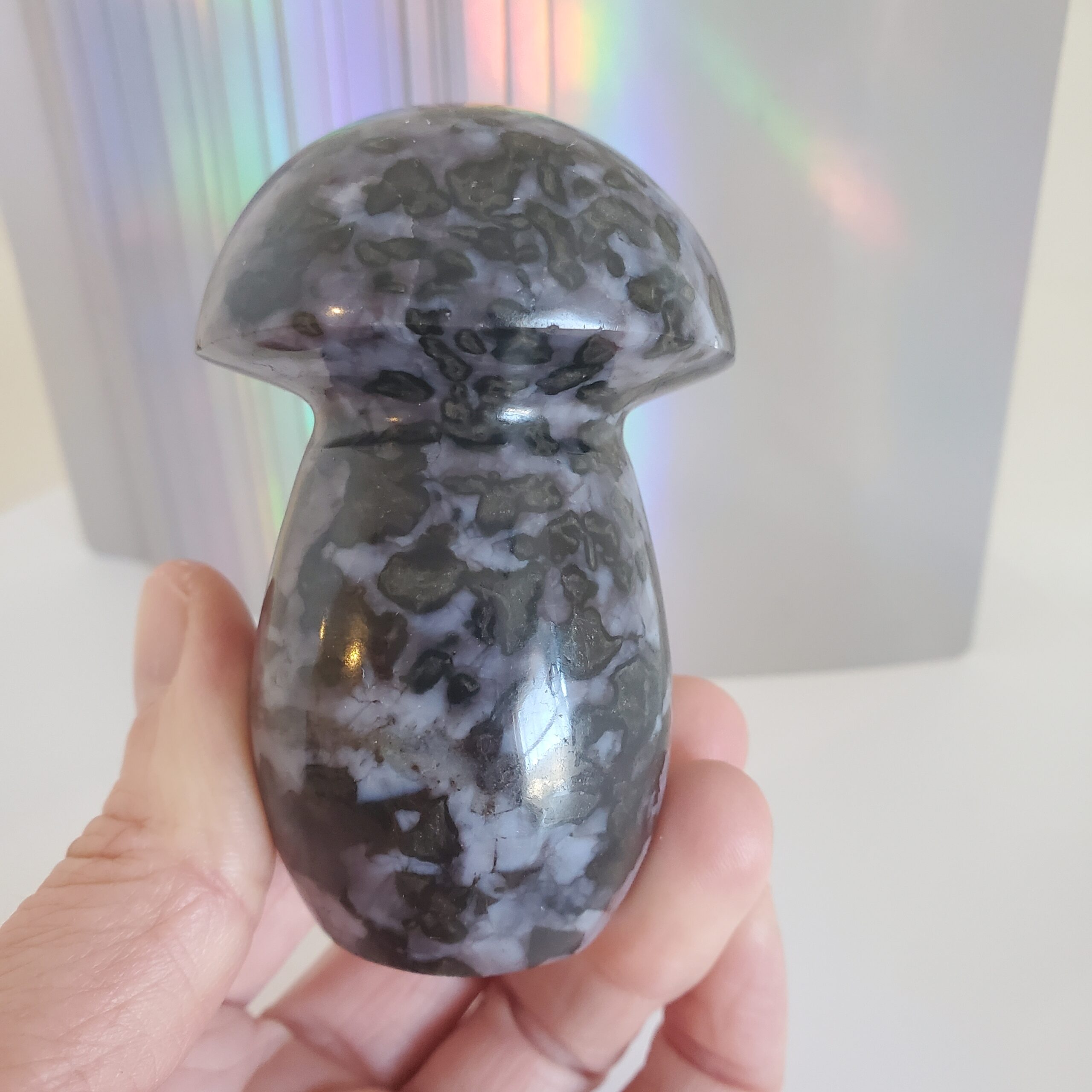 indigo gabbro palm mushroom s (copy)