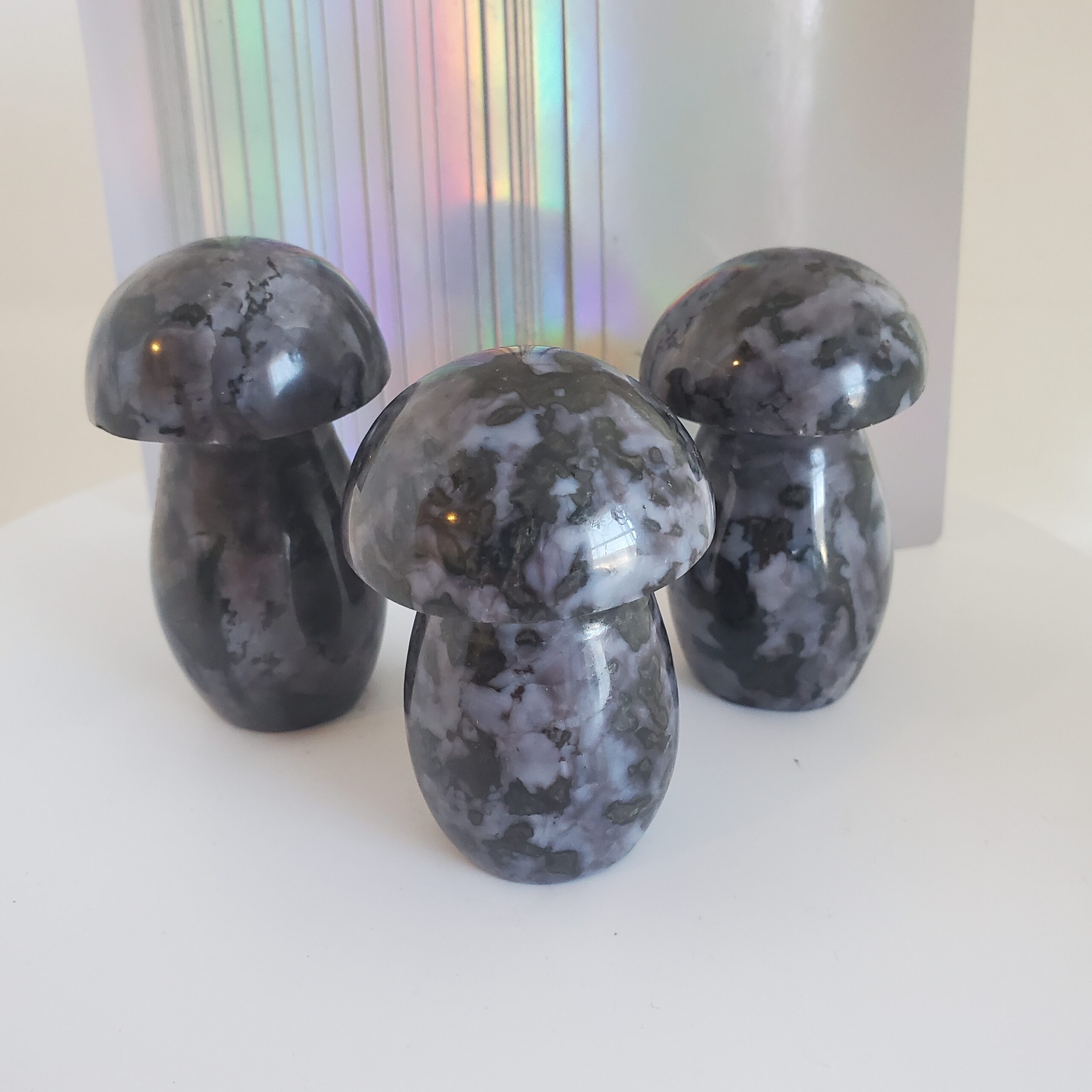 indigo gabbro palm mushroom s