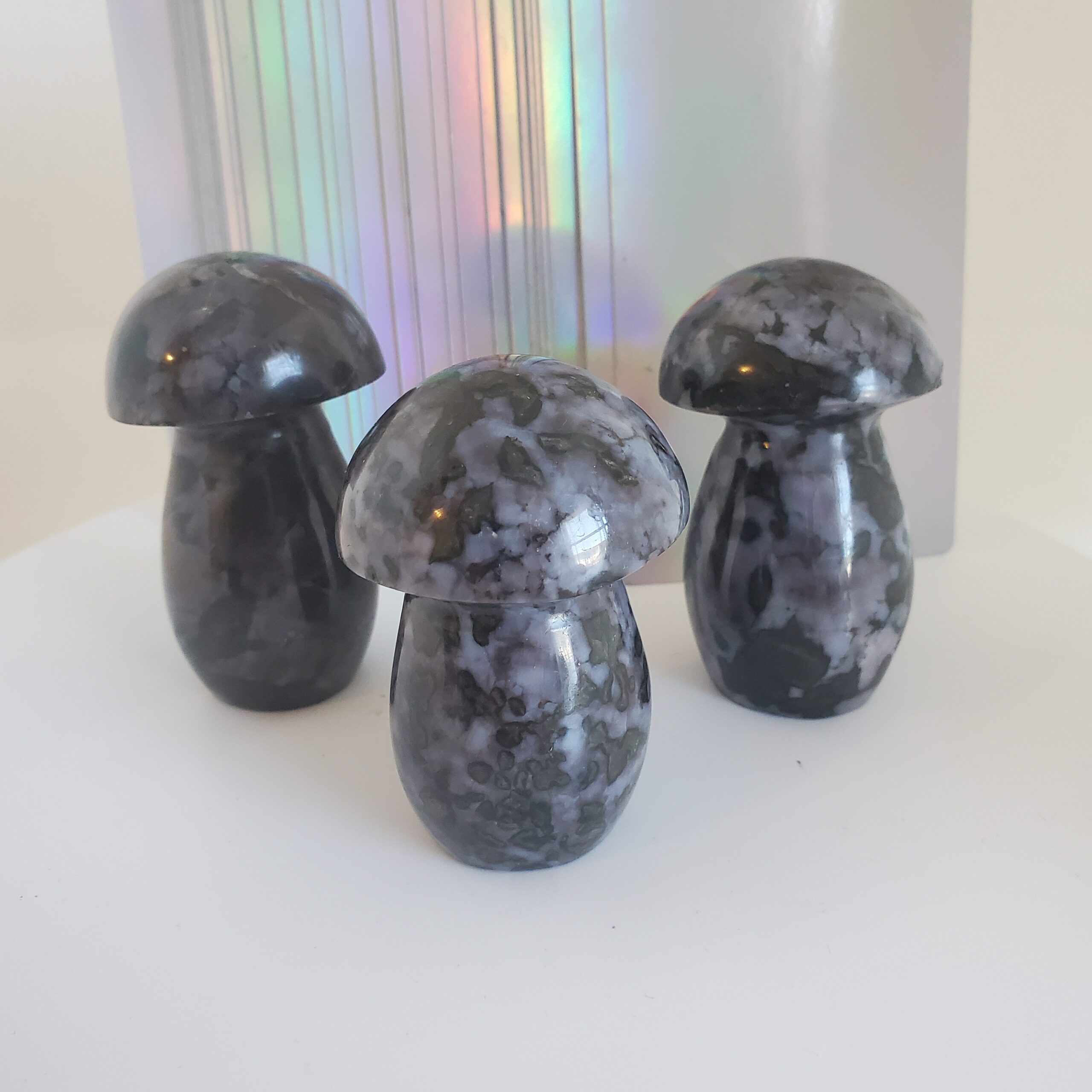 indigo gabbro palm mushroom s