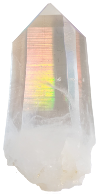 lemurian x